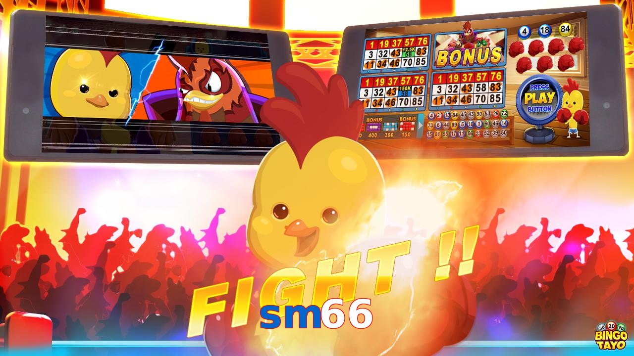 sm66