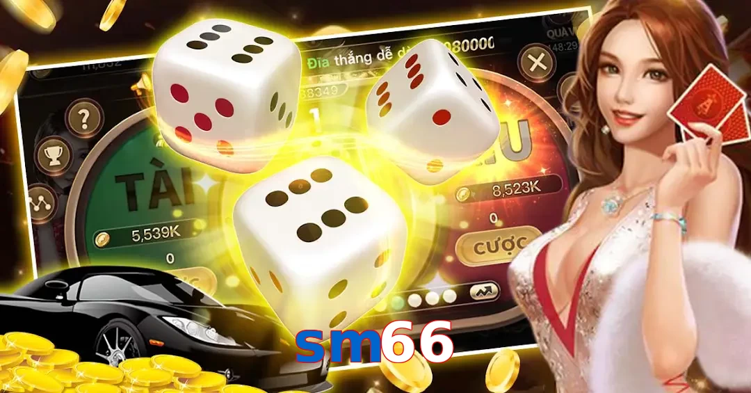 sm66